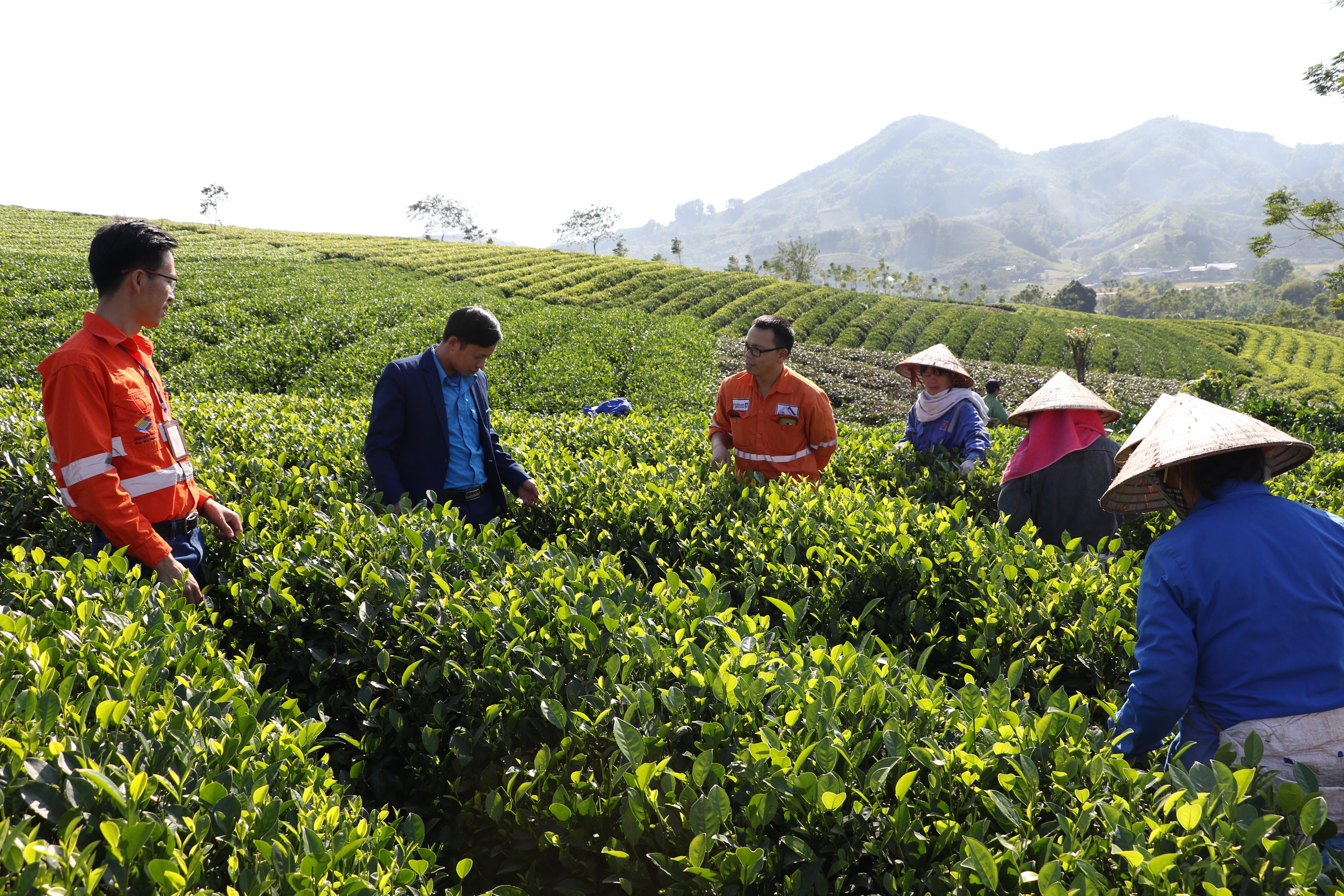 Tín dụng xanh cho phát triển bền vững