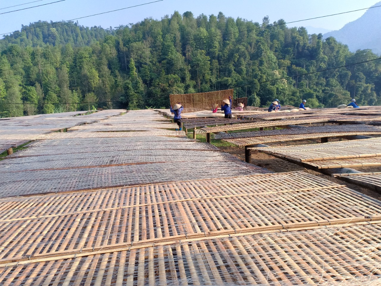 Người phụ nữ dân tộc gây dựng thương hiệu miến dong mang tên mình