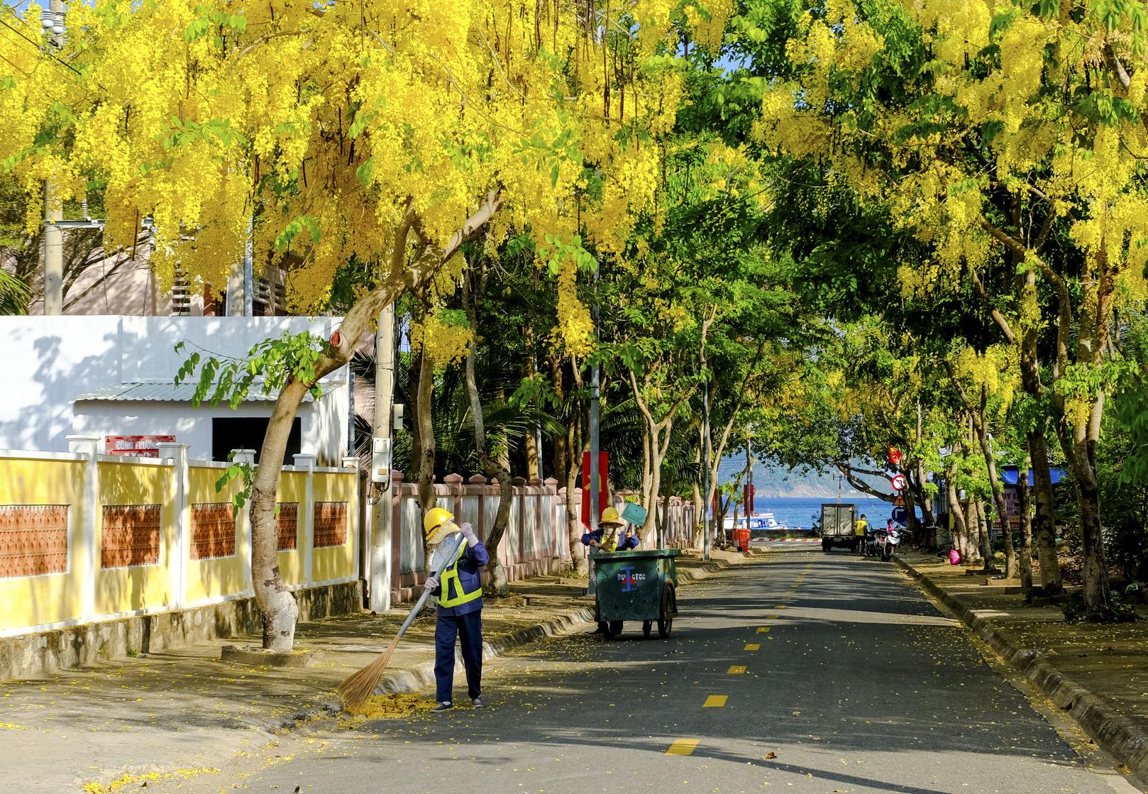 Những khu phố không rác thải nhựa