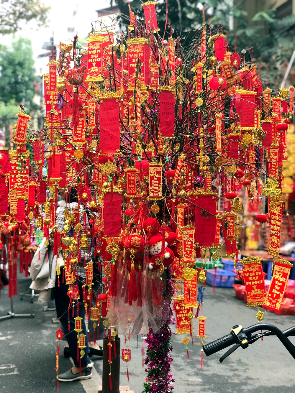 Những cây