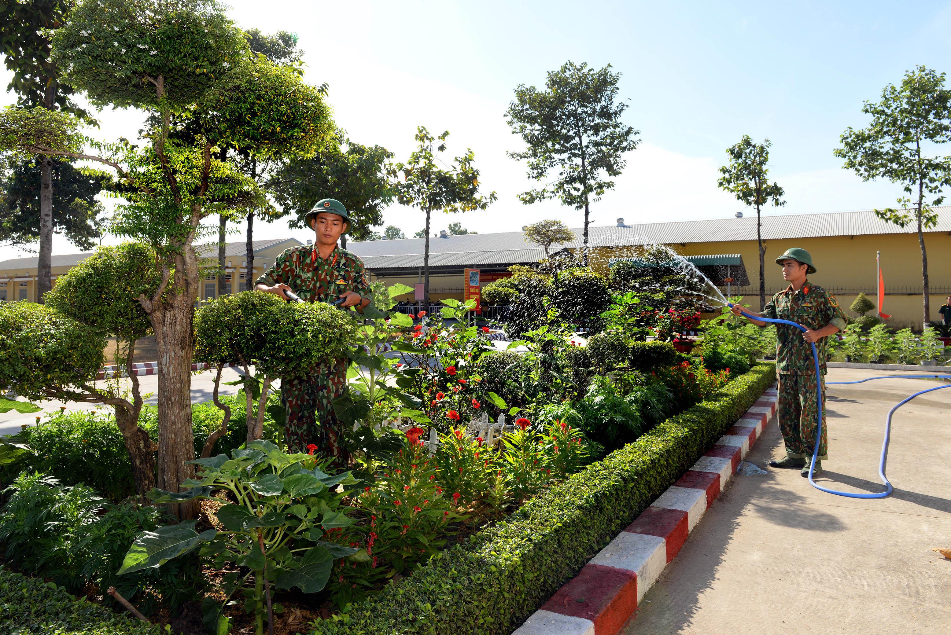 Cho xuân mới thêm vui