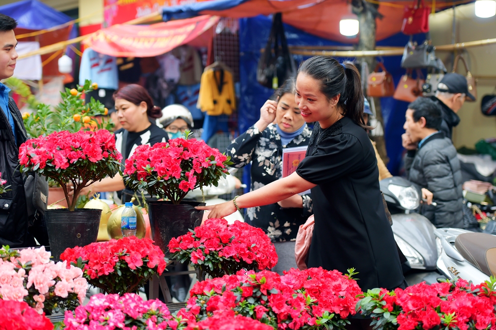 Trẻ nhỏ đi chợ hoa để xem, để chơi còn người lớn, ngoài việc mua sắm cành đào, cây quất, bó hoa tươi, thì ai ai cũng muốn thưởng thức cái không khí đông vui, được đắm mình trong rừng hoa khoe sắc giữa lòng phố cổ Hà Nội.