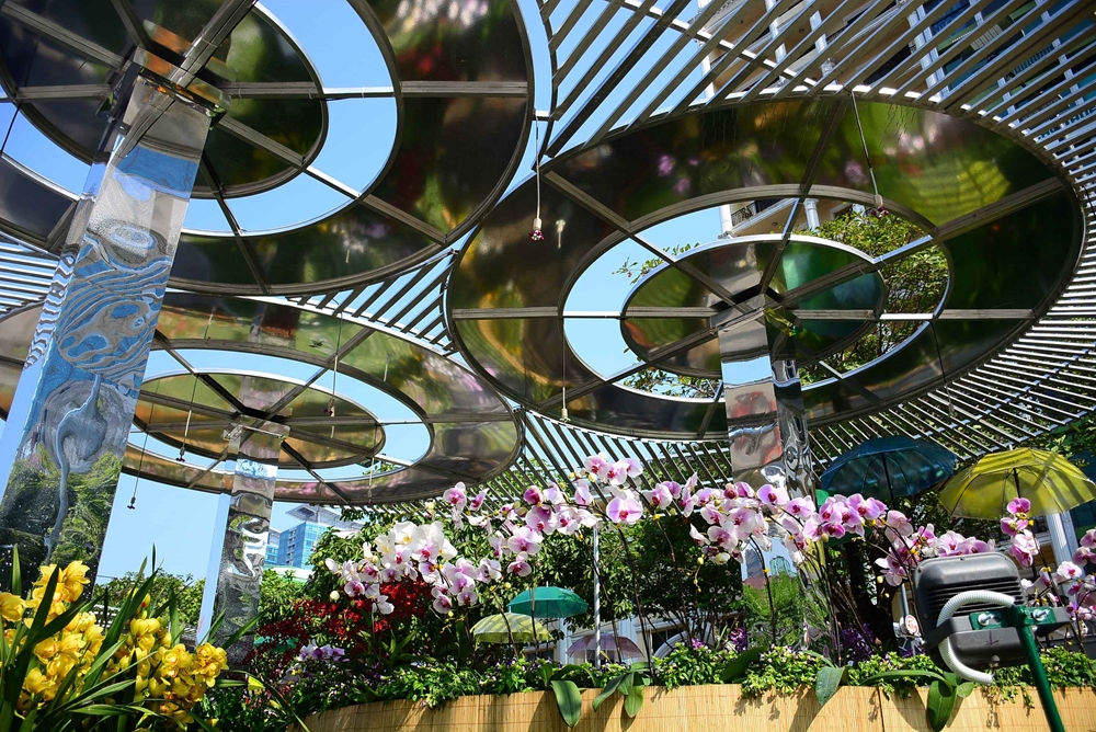 Đại cảnh rừng hoa lan rực rỡ.