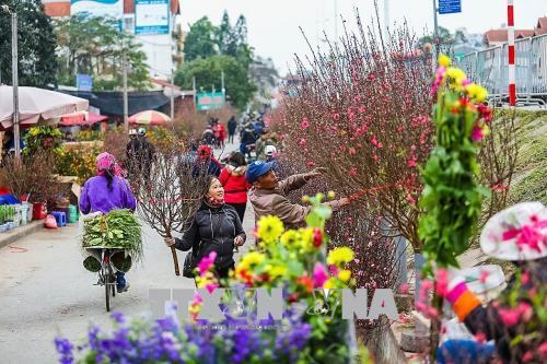 VỮNG NIỀM TIN BƯỚC VÀO XUÂN MỚI