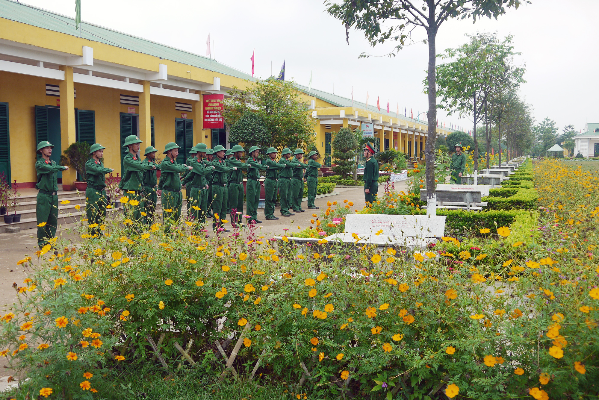 Sắc hoa Trung đoàn 143