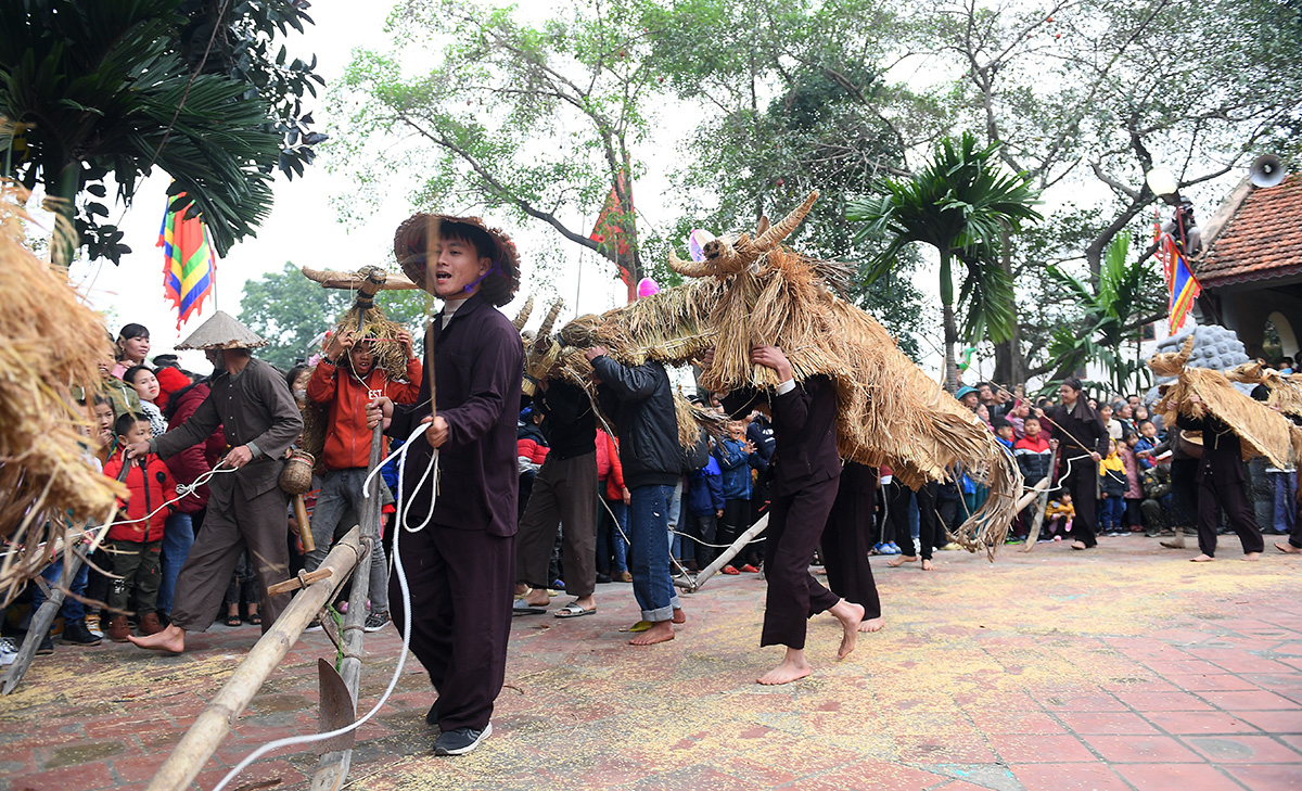 Lễ hội Trâu rơm bò rạ tôn vinh văn hóa lúa nước