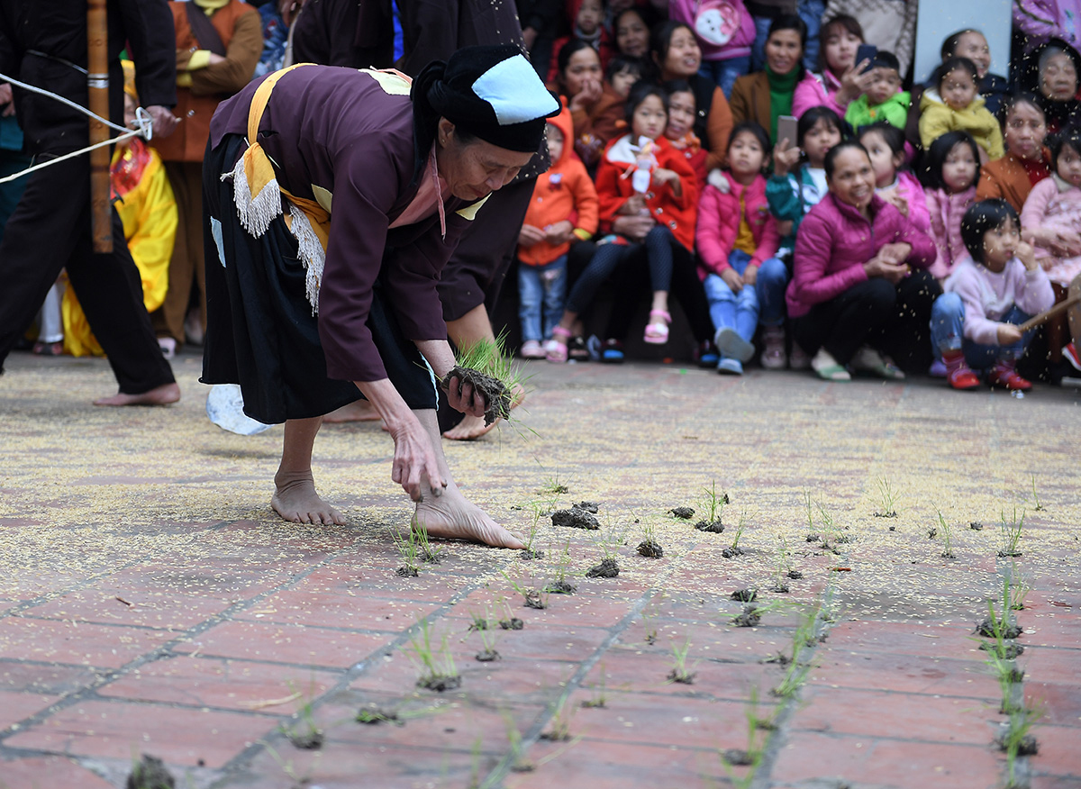 Lễ hội Trâu rơm bò rạ tôn vinh văn hóa lúa nước
