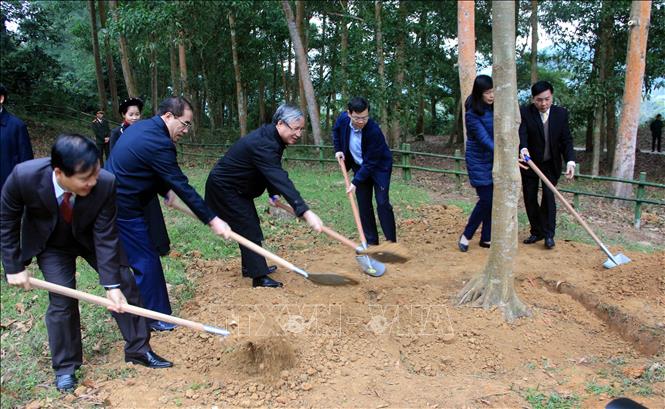 Đồng chí Trần Quốc Vượng dự Lễ phát động Tết trồng cây tại Tuyên Quang