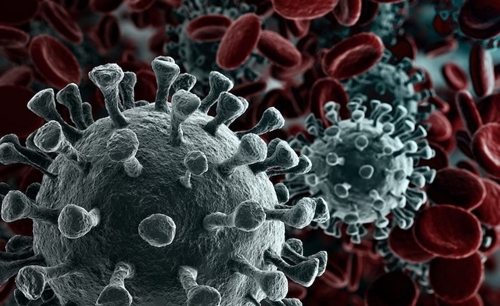WHO khẳng định kháng sinh không có tác dụng phòng, chống virus do nCoV