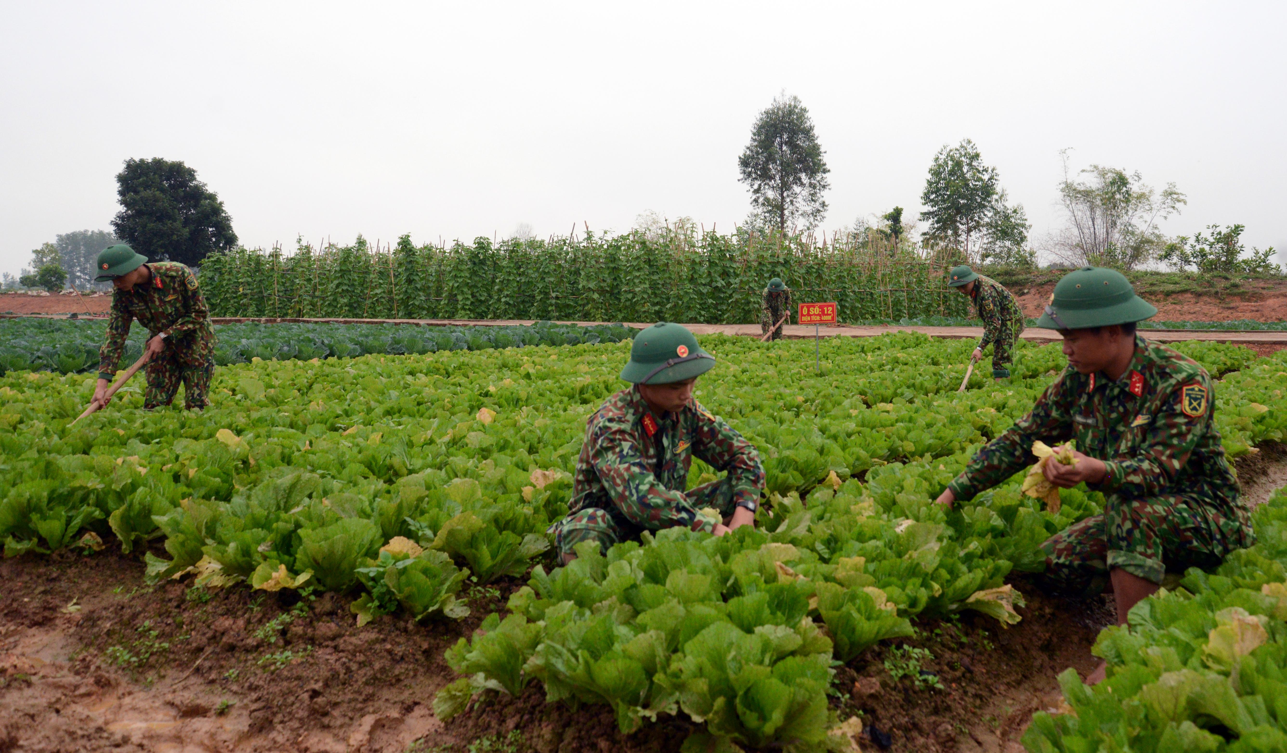 Bài 2: Quan tâm thiết thực, chăm lo chu đáo đời sống bộ đội

