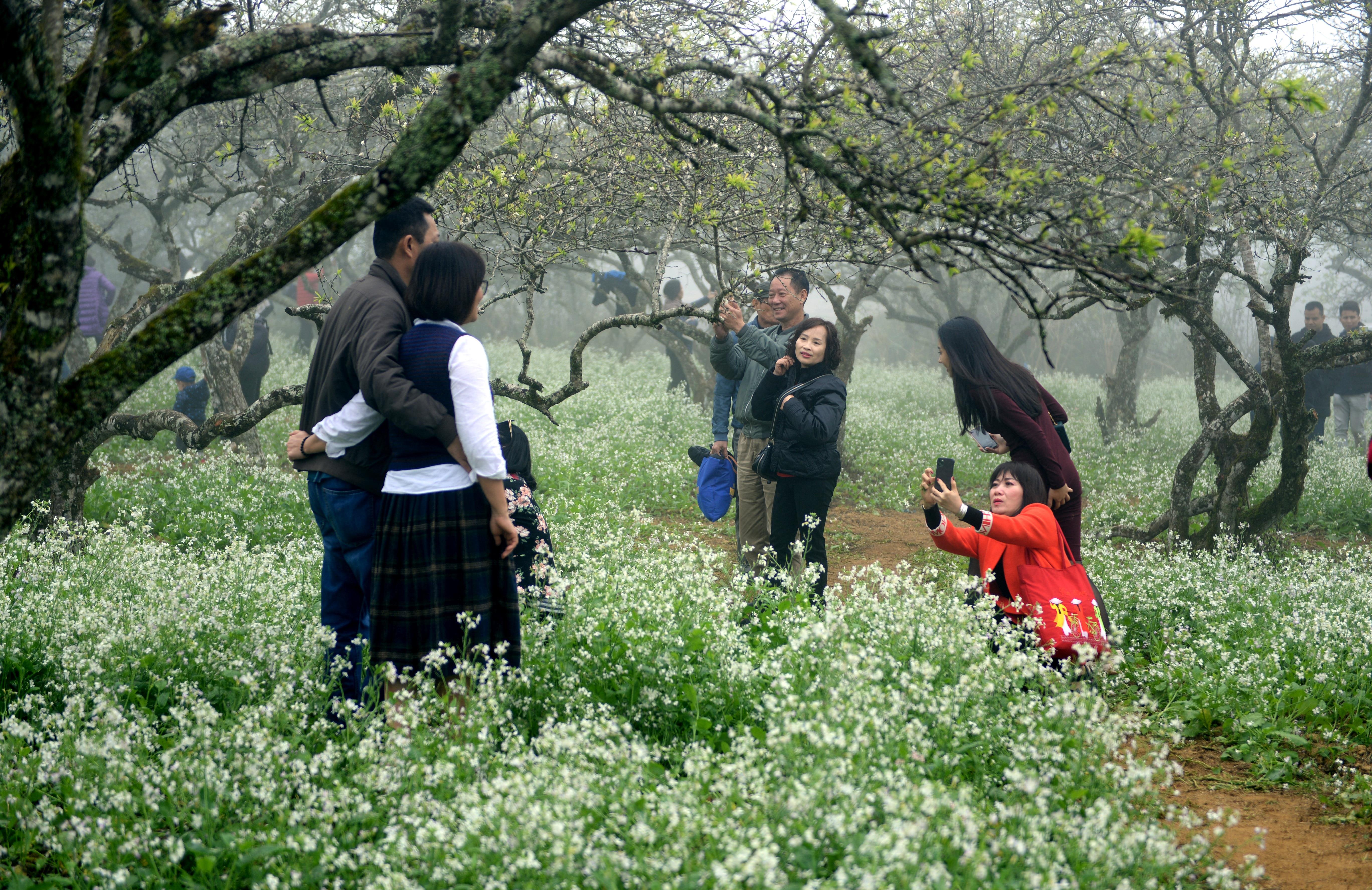 Lên Mộc Châu sống chậm