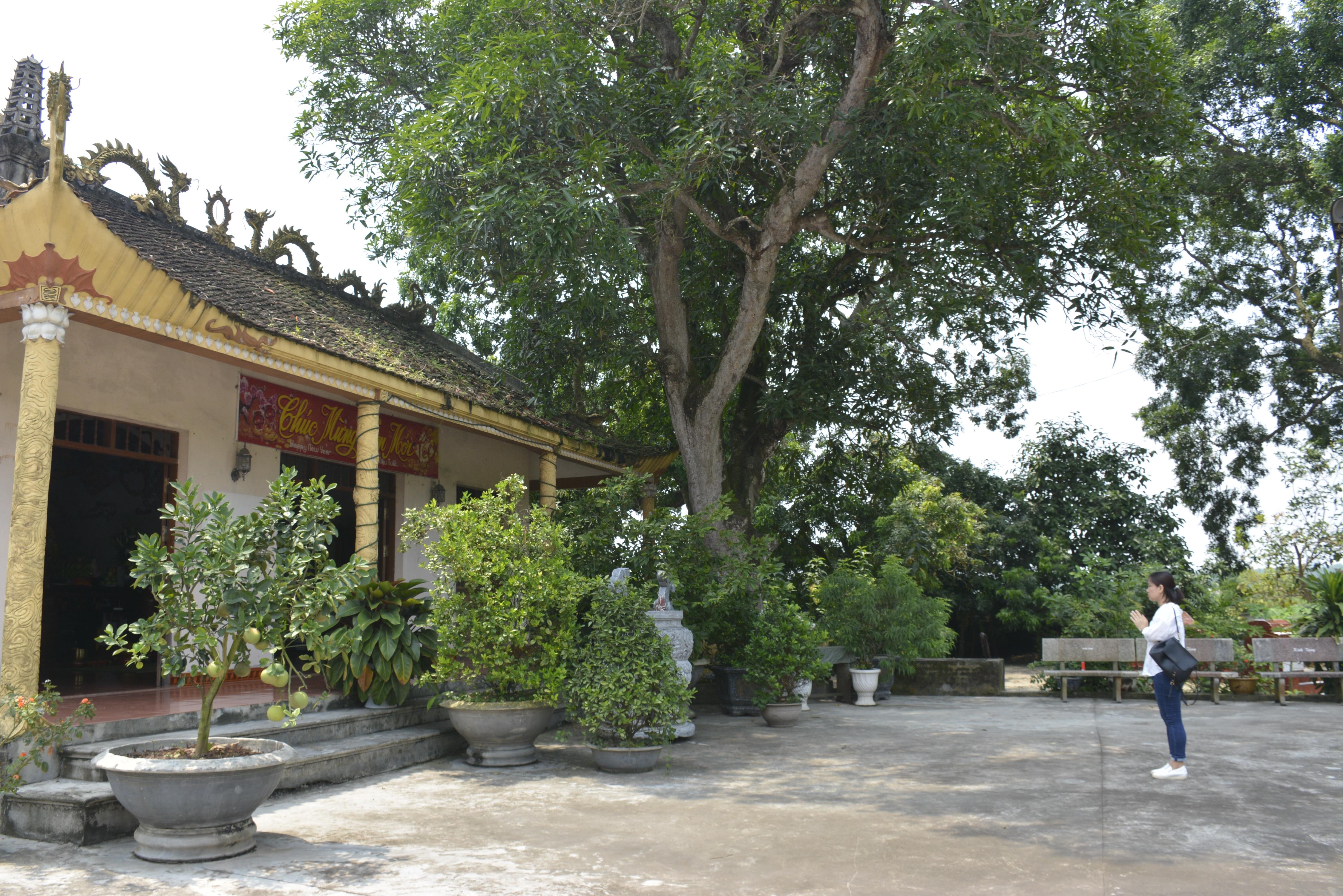 Nơi khai hỏa trận Bạch Đằng giang