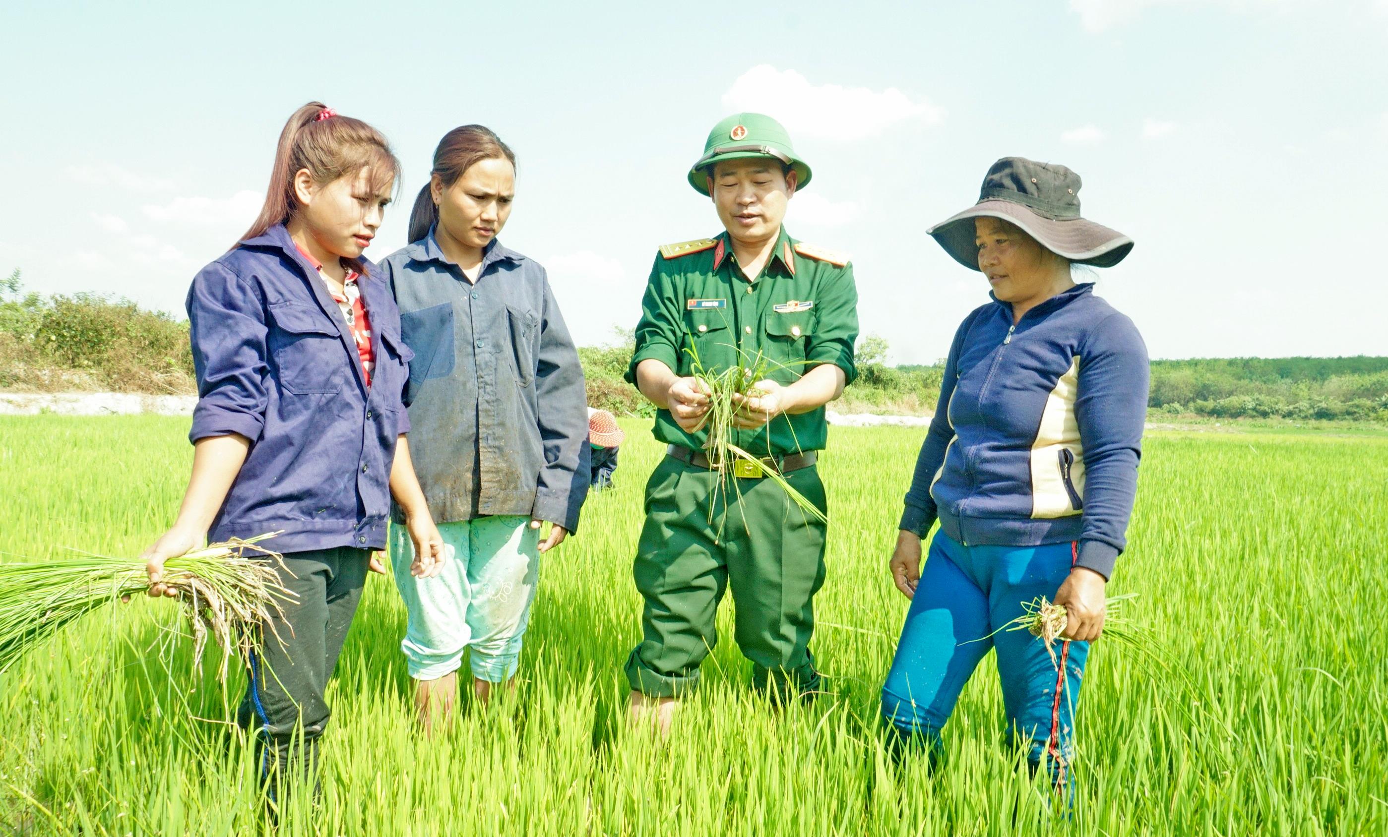 Những “cột mốc sống” trên biên cương