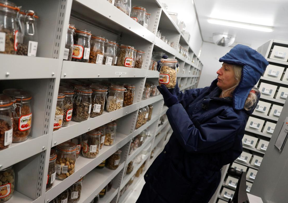 Anh giúp Australia bảo vệ thực vật sau hỏa hoạn cháy rừng

