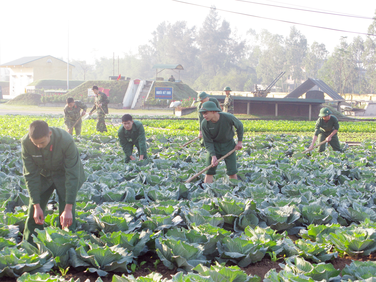 “Ba xanh” thời kỳ giáp vụ ở “hai tám ba” 

