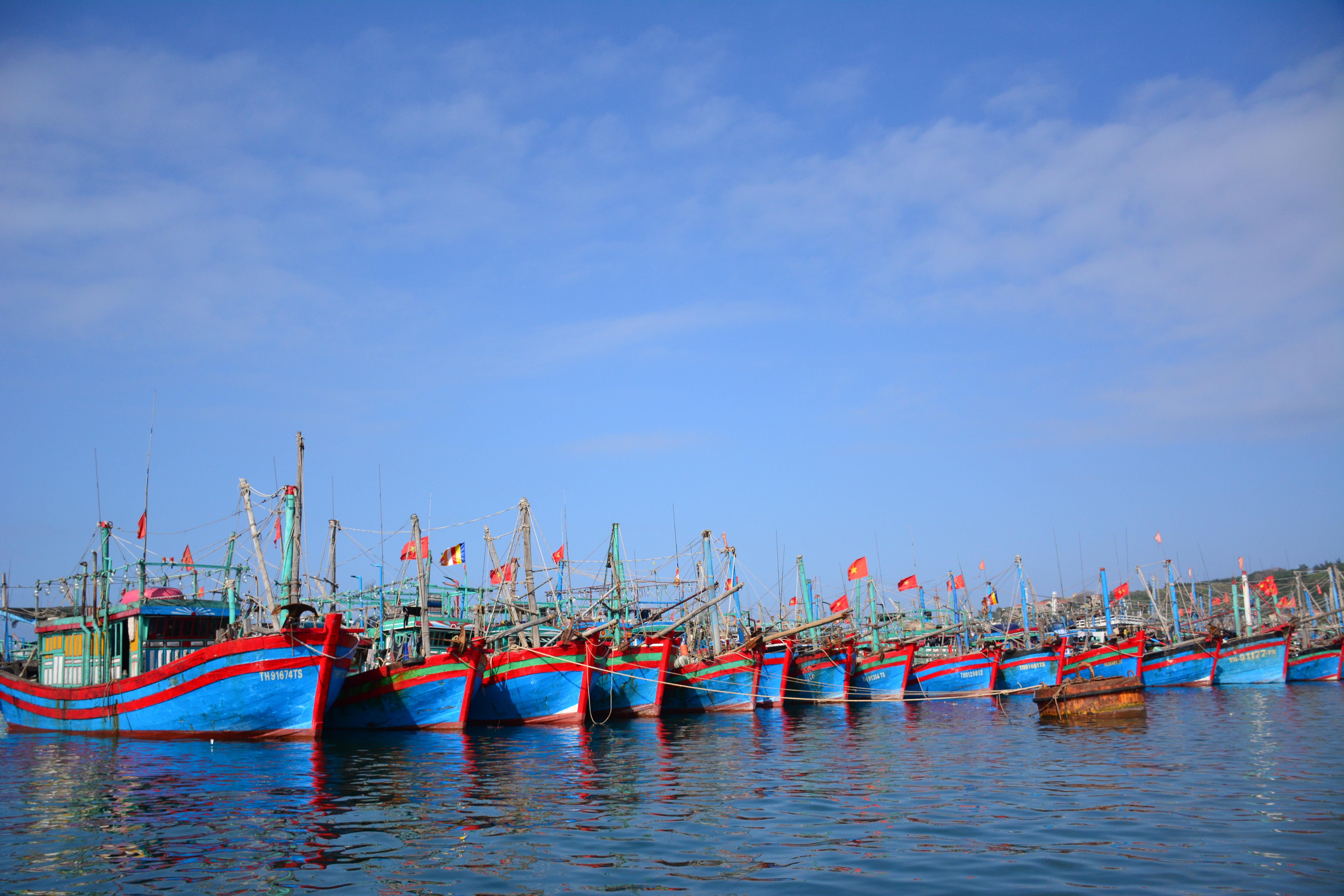 Bạch Long Vĩ - sức sống giữa trùng khơi