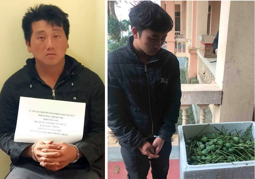 Bắt giữ 2 vụ vận chuyển 45 kg quả thuốc phiện tươi