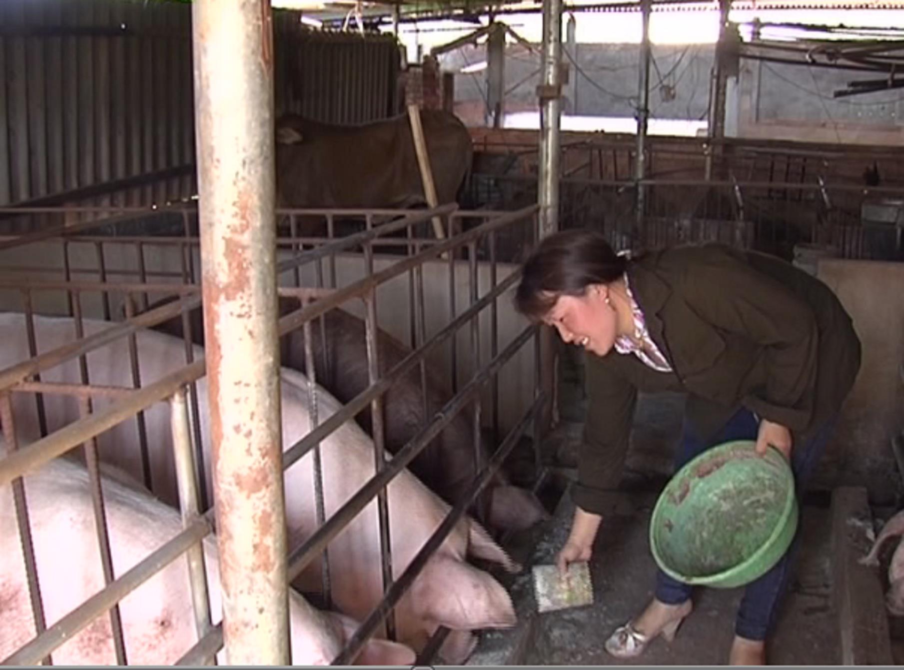 Thành công từ dám nghĩ, dám làm