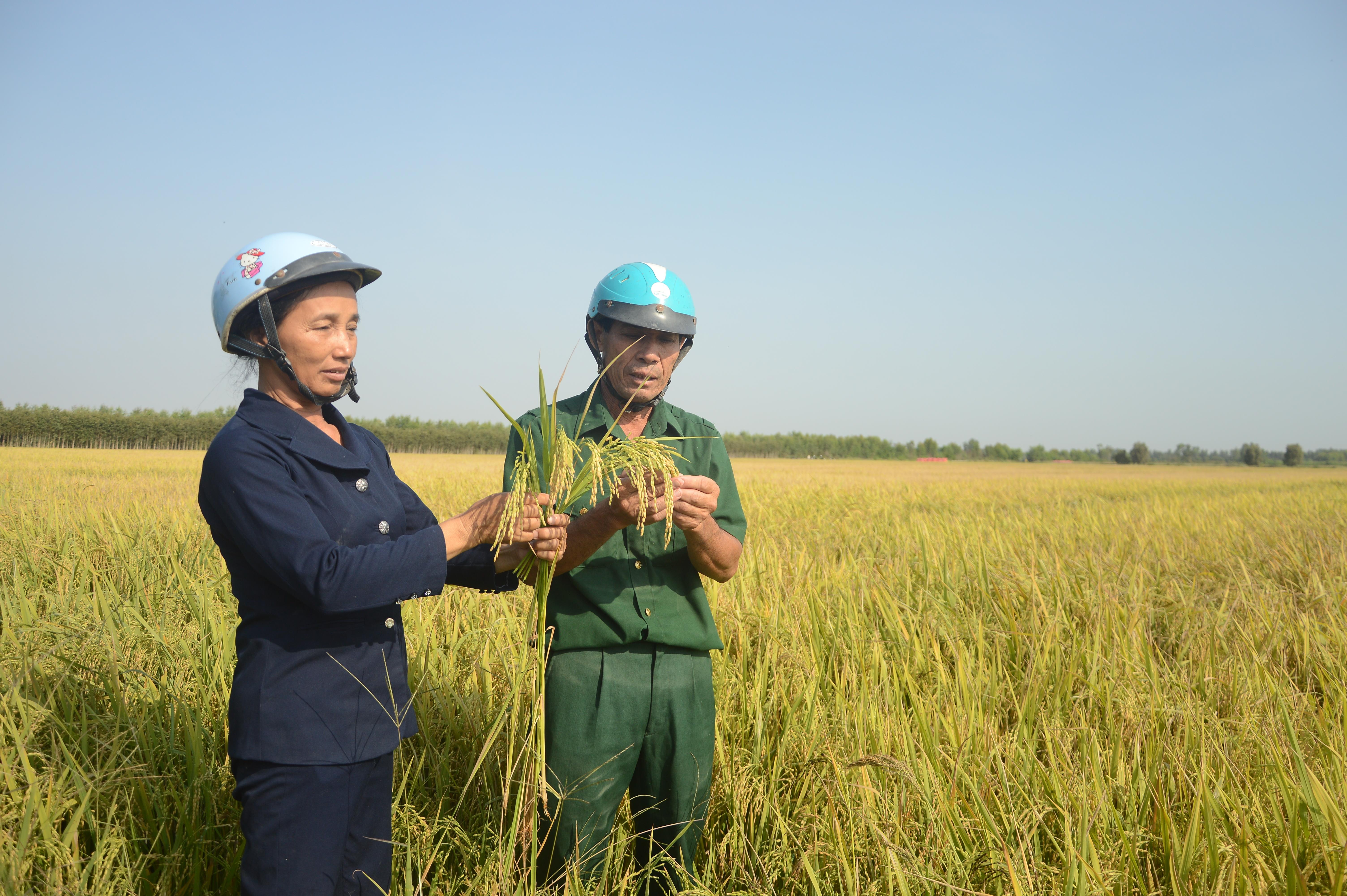 Nữ “công bộc” của dân ở ấp biên giới