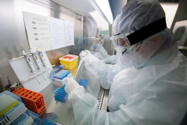 Anh hoàn tất thử nghiệm vaccine kháng Covid-19 trên động vật

