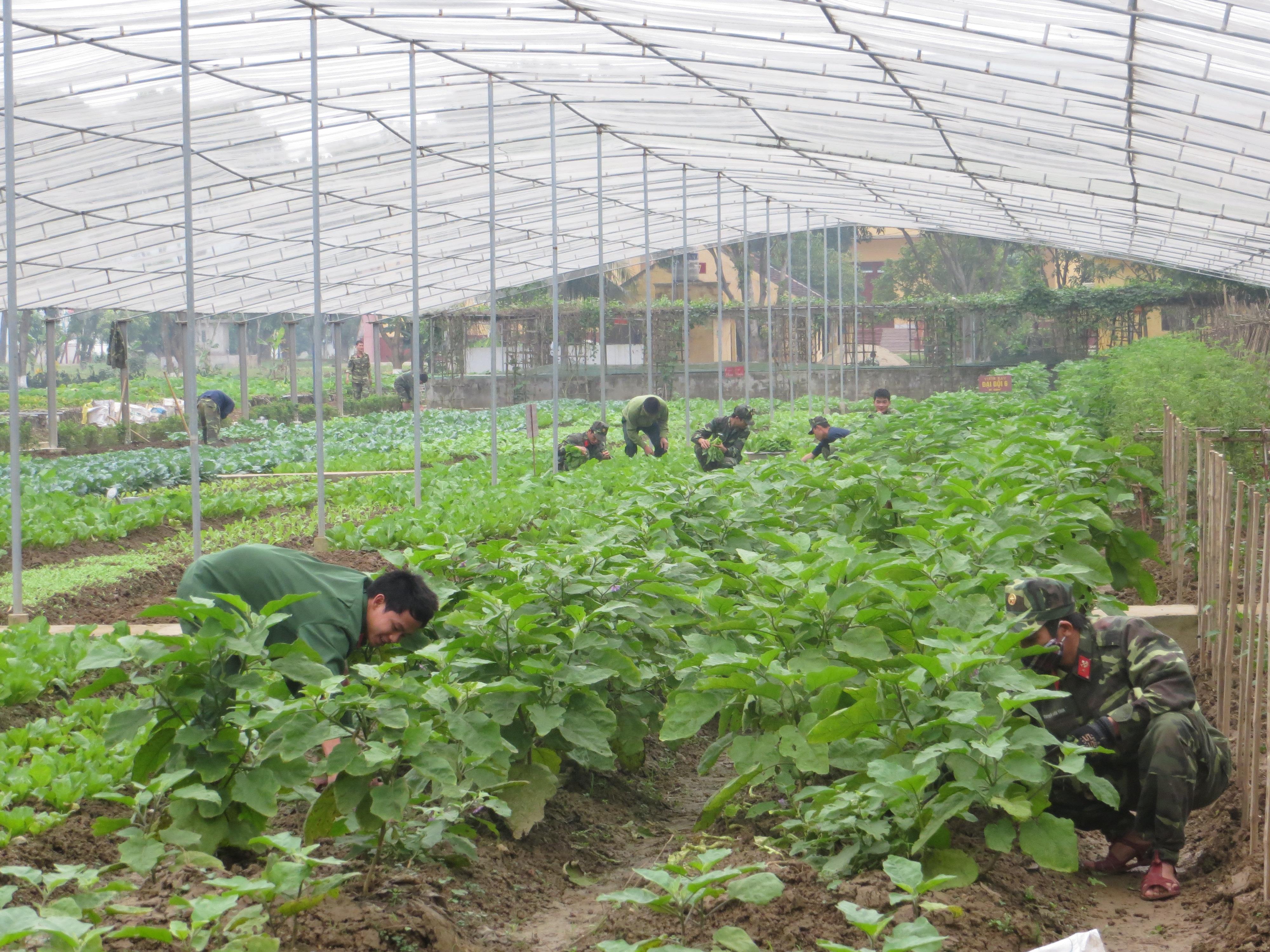 “6 không” ở Lữ đoàn 414