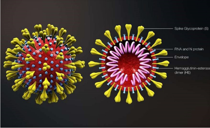 Virus Covid-19 lây nhiễm vào con người như thế nào?