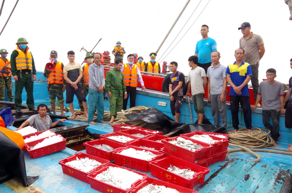 Truy bắt 2 tàu đánh bắt hải sản bằng lưới kéo dã cào tận diệt