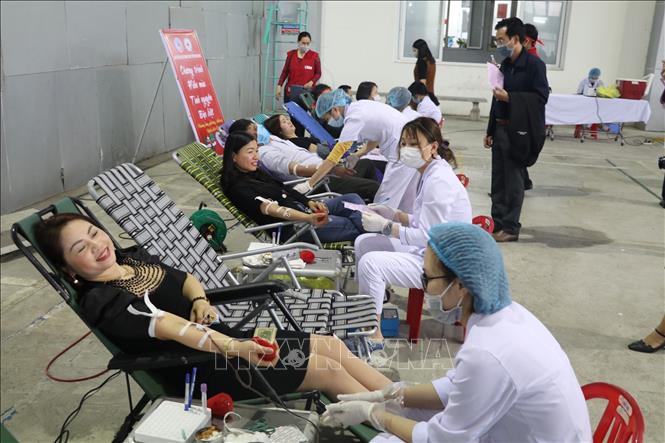 THUỐC TỪ TRÁI TIM