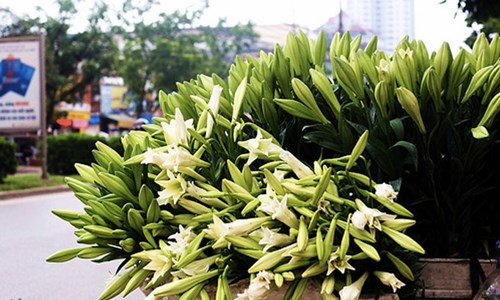 Thênh thang cảm xúc tháng tư