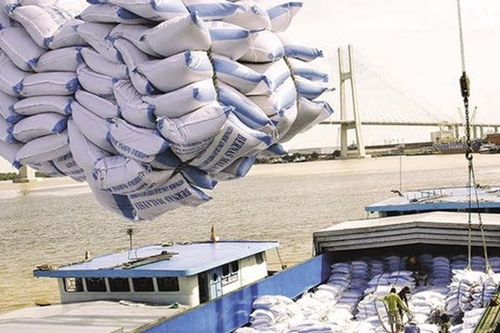 Thủ tướng Chính phủ đồng ý xuất khẩu gạo trở lại nhưng phải đảm bảo an ninh lương thực