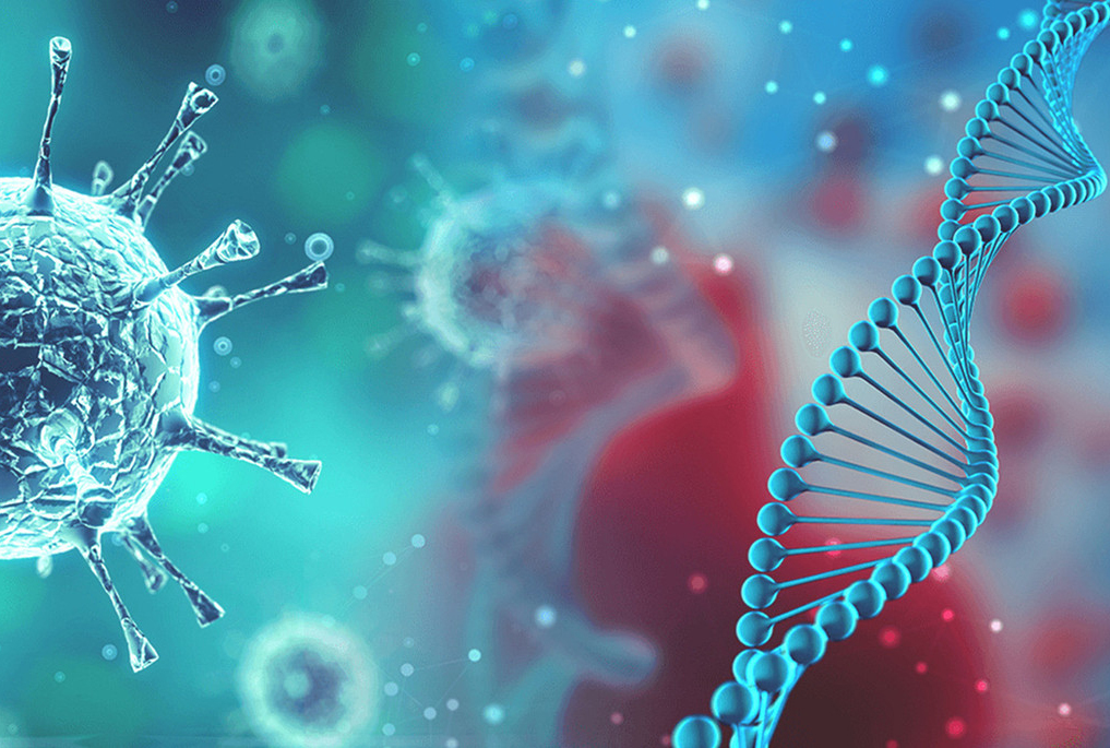 Virus gây dịch Covid-19 có nhiều đột biến mới

