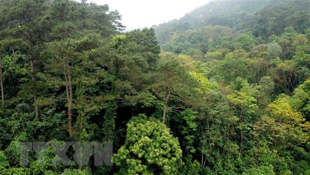 Hai phụ nữ ở Quảng Trị bị lạc trong rừng một ngày, đã về đến nhà an toàn