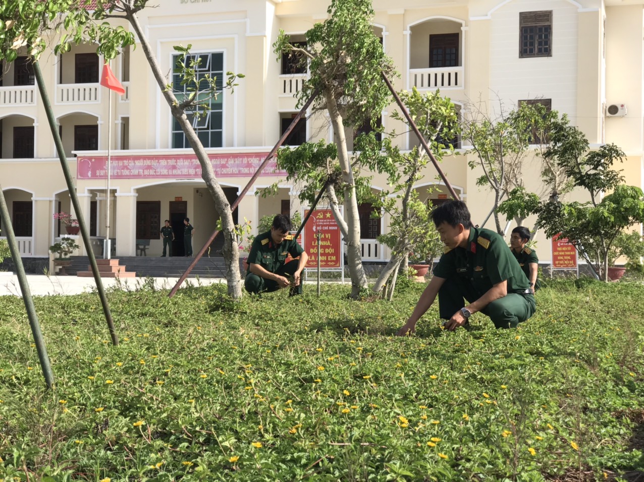 Doanh trại xanh giữa vùng cát trắng

