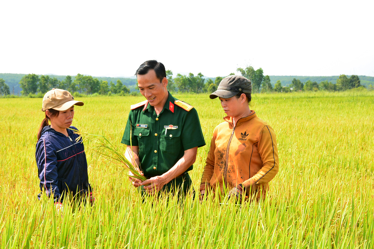 Bám ruộng, bám dân để phát triển cây lúa