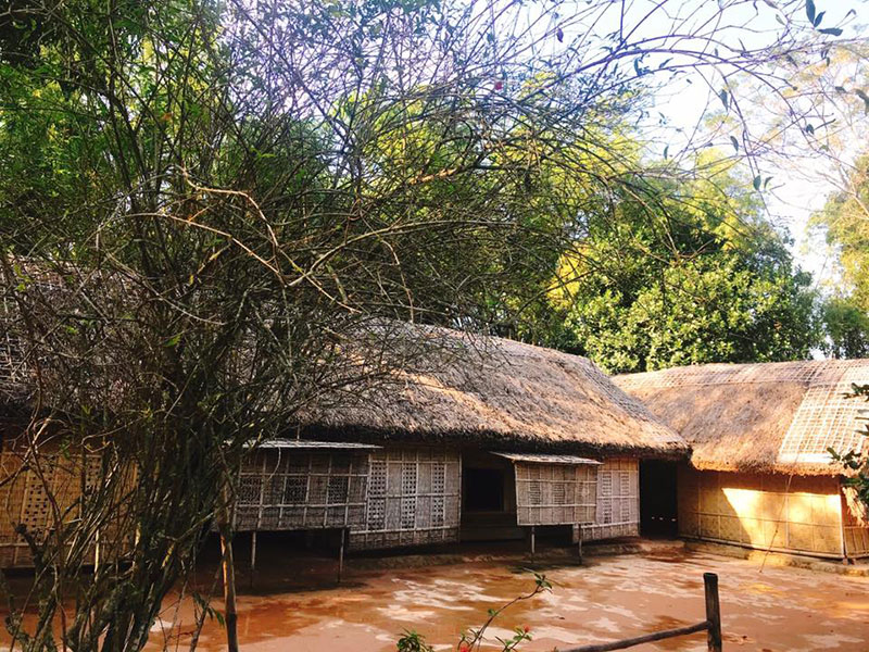 Tháng 5 về làng Sen quê Bác

