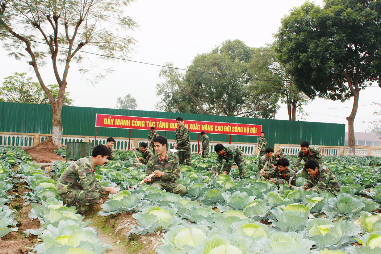  “Đột phá tăng gia, bình ổn giá cả” 


