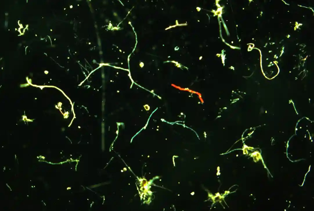 Báo động tình trạng rác thải nhựa đại dương

