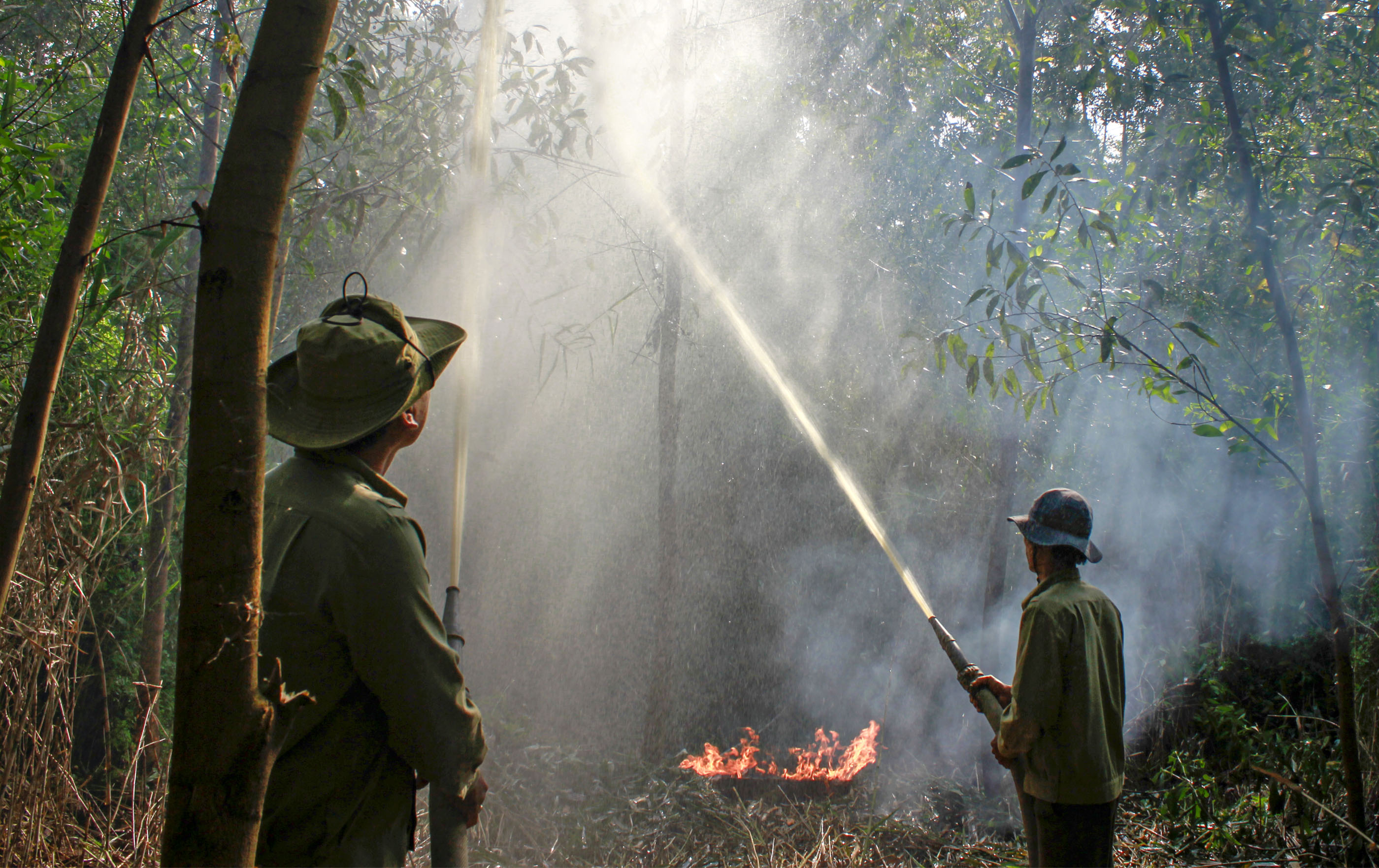 Cà Mau chủ động phòng, chống cháy rừng