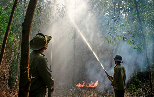 Cà Mau chủ động phòng, chống cháy rừng