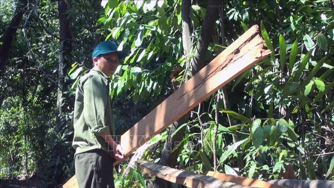 Vụ mở đường để phá rừng ở Phú Yên: Chuyển hồ sơ vụ việc sang Cơ quan cảnh sát điều tra

