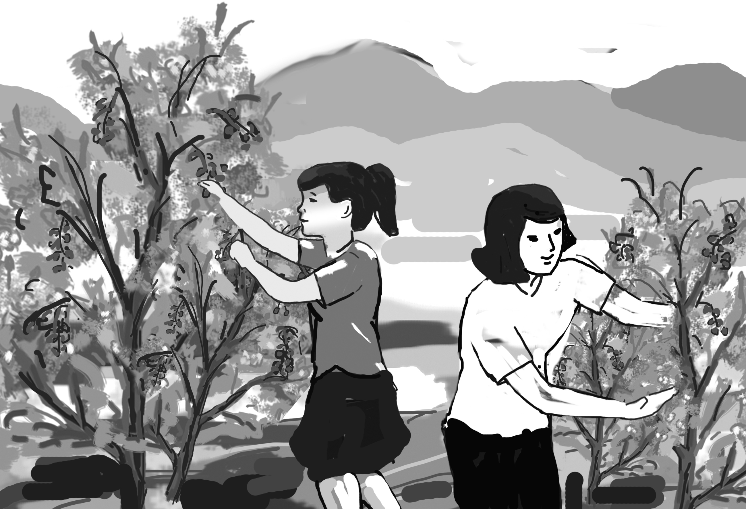 Ngọt ngào mùa trái chín