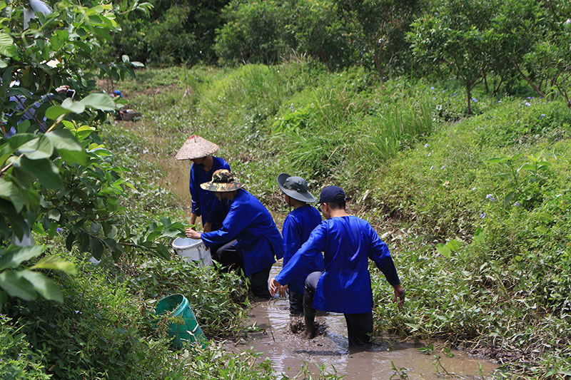 Du lịch Cần Thơ tìm cách phục hồi sau dịch Covid-19
