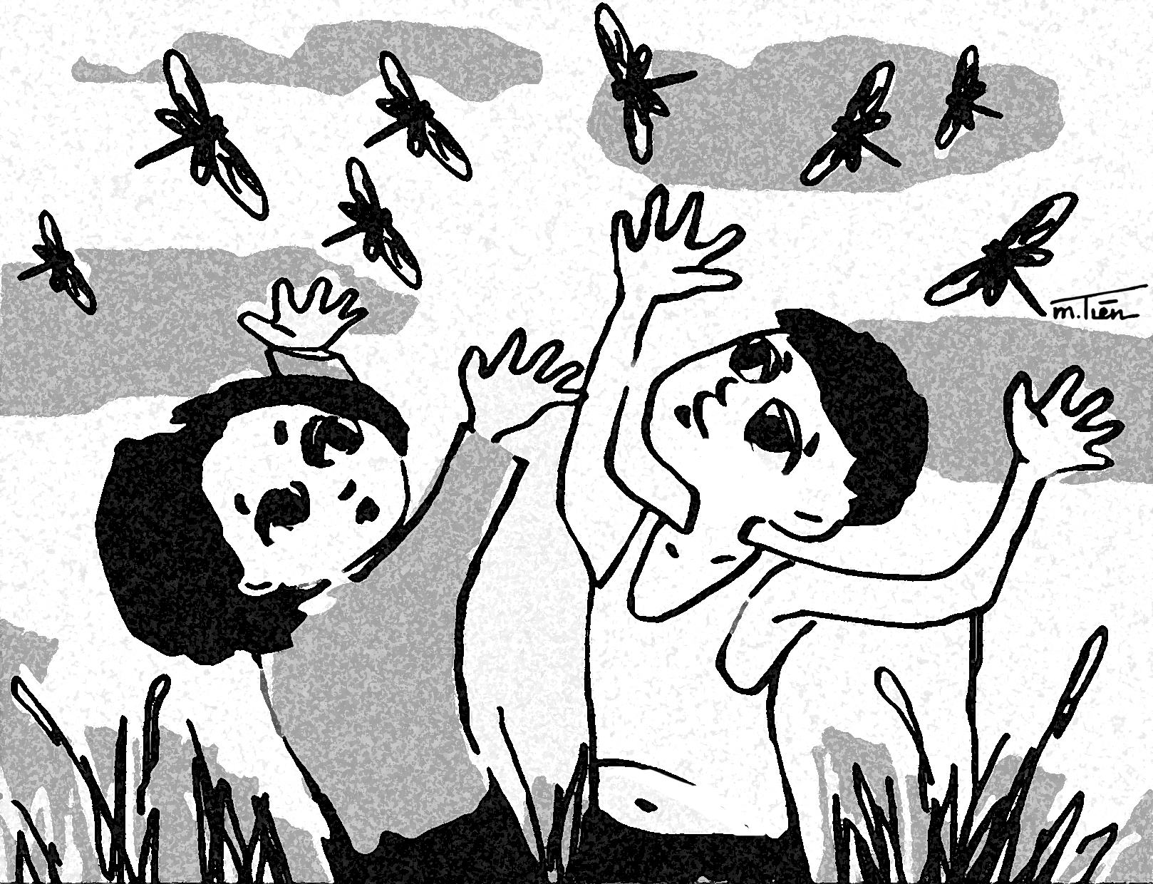 Trong veo những cánh chuồn