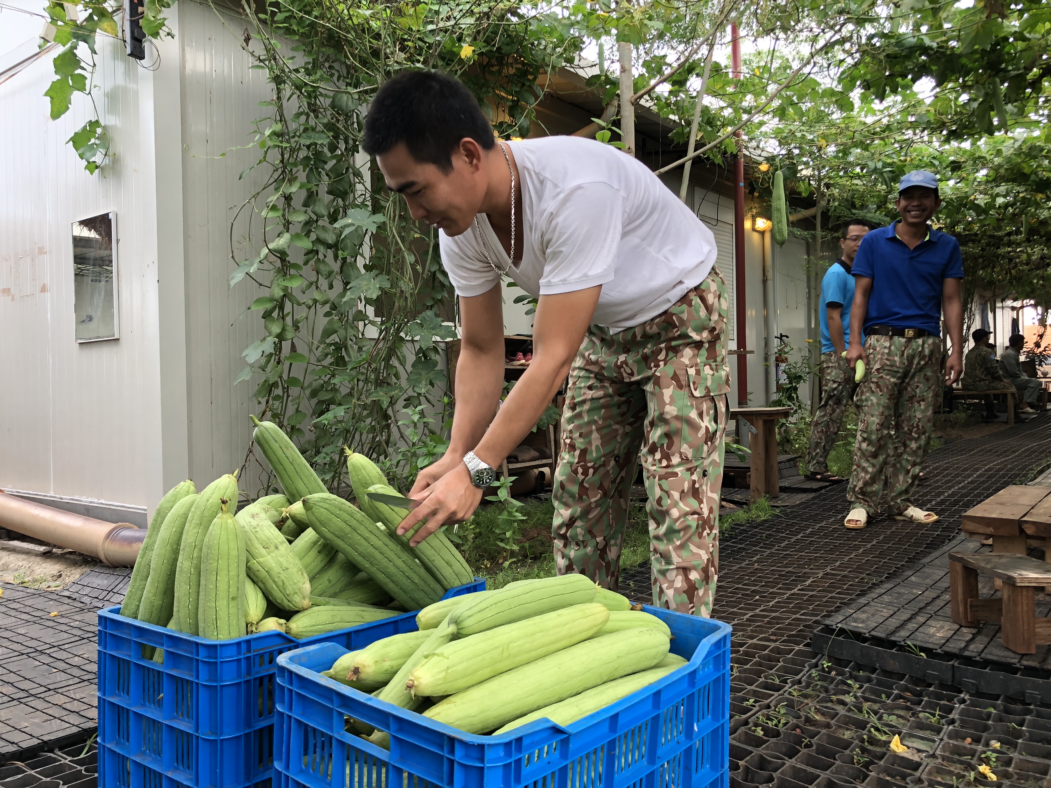 Kỳ 1: Mang cả Việt Nam thu nhỏ đến Bentiu