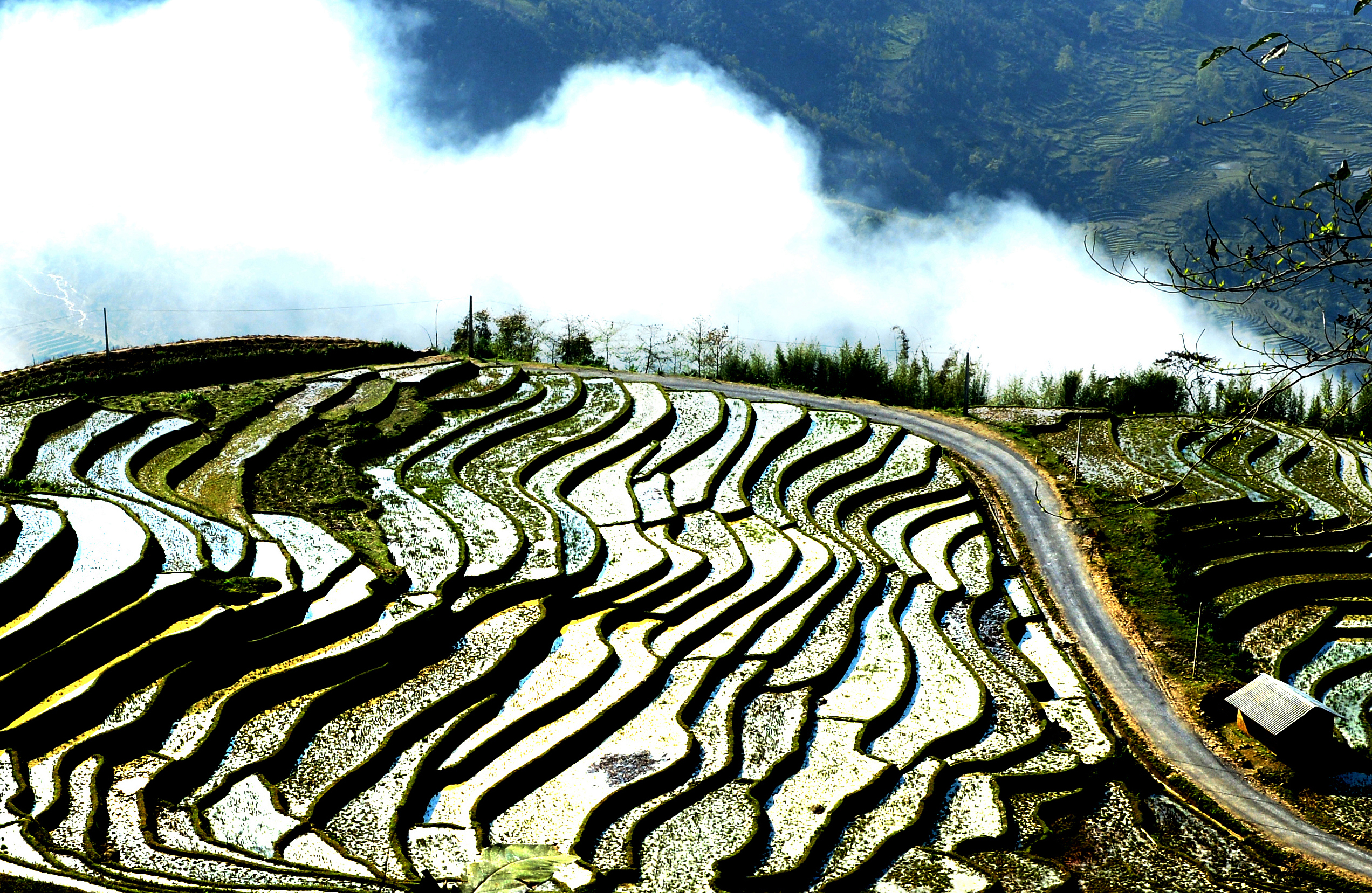 “Suối bậc thang