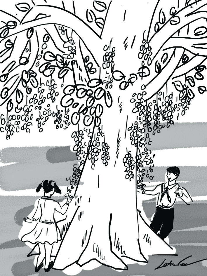 Trái ngọt mùa hạ