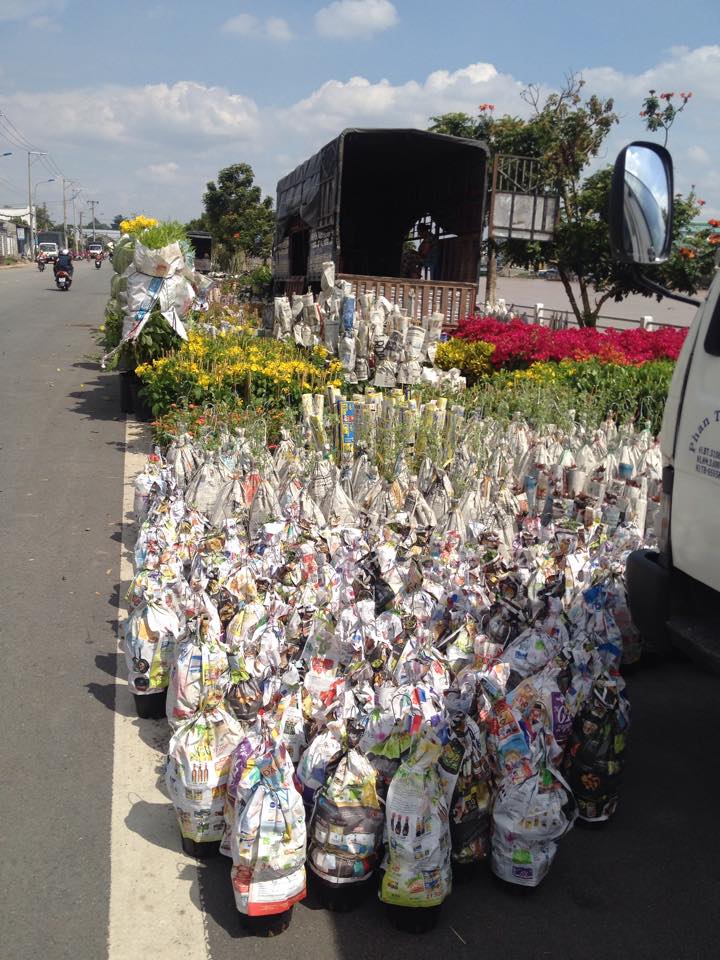 Phát triển nghề trồng hoa kiểng ở Sa Đéc