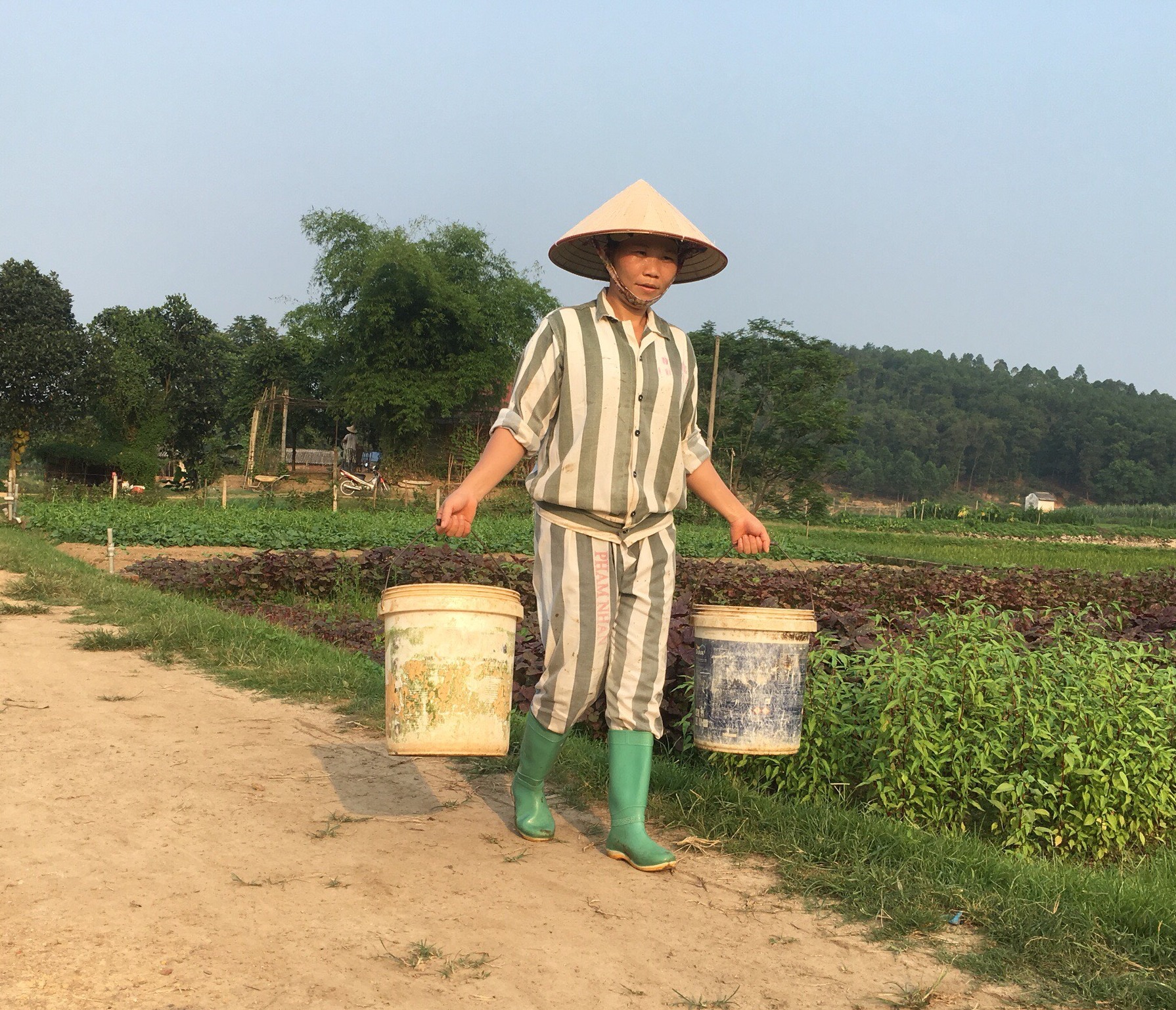 Khát vọng ngày trở về