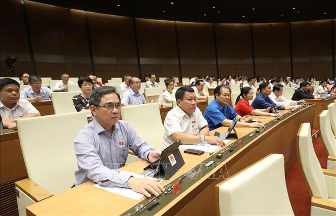 Bỏ quy định về hộ kinh doanh trong Luật  Doanh nghiệp (sửa đổi)