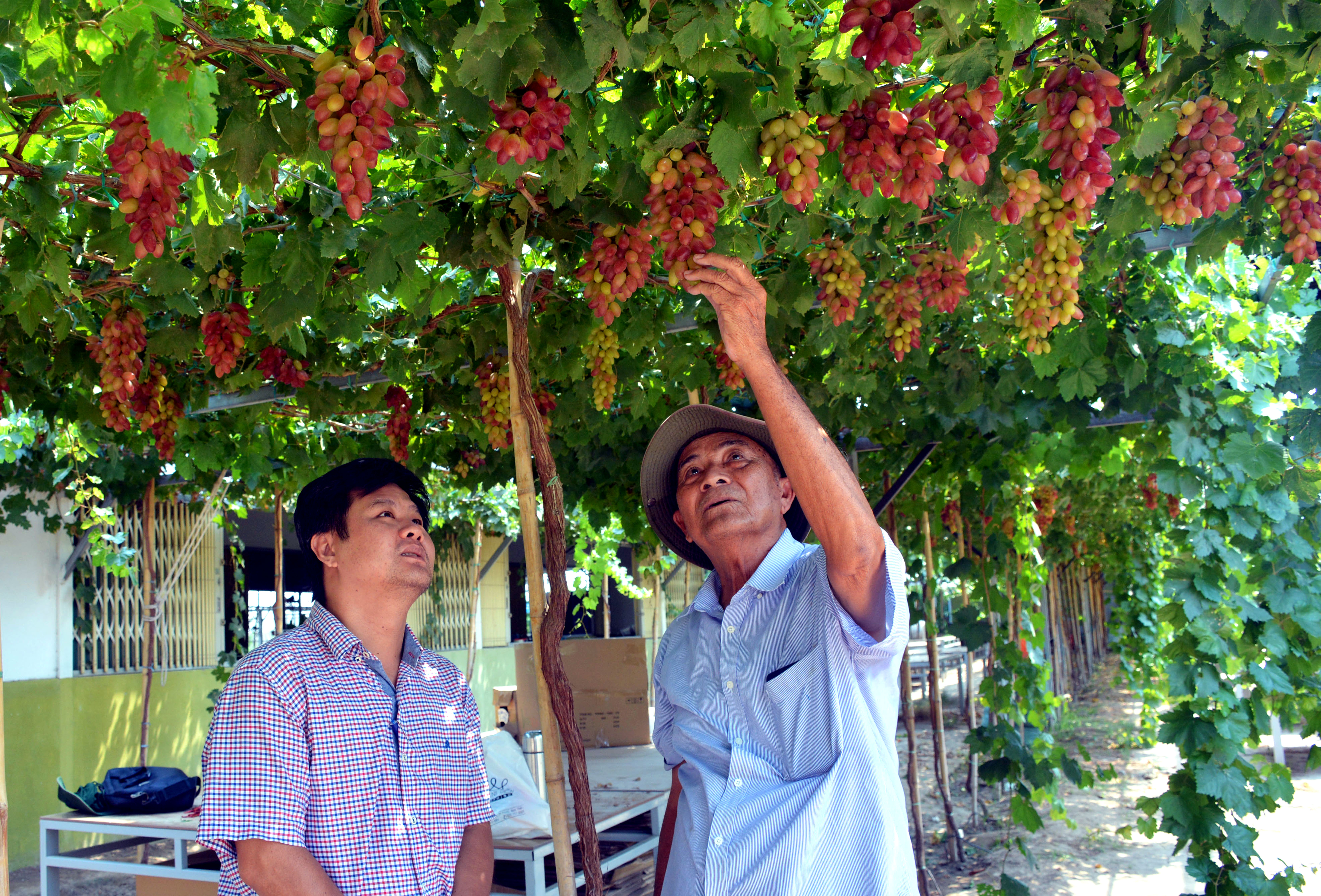 Bài 3: Phát triển du lịch và năng lượng sạch